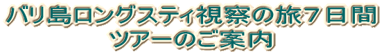 oOXeB@̗V cA[̂ē