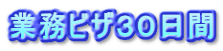 業務ビザ３０日間
